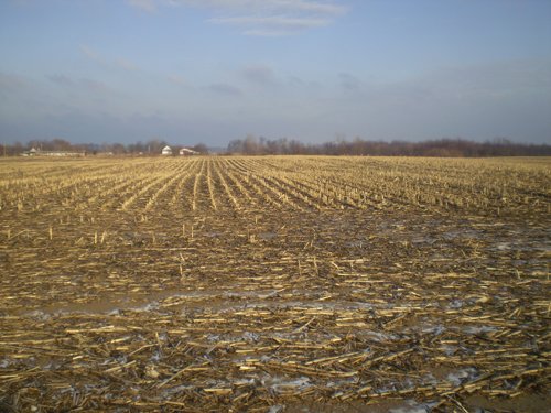 Property photo 3 - 71 Acres Offered in 2 Tracts